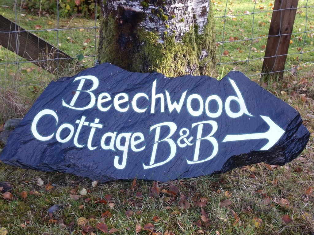 Beechwood Cottage B&B 글렌코 외부 사진